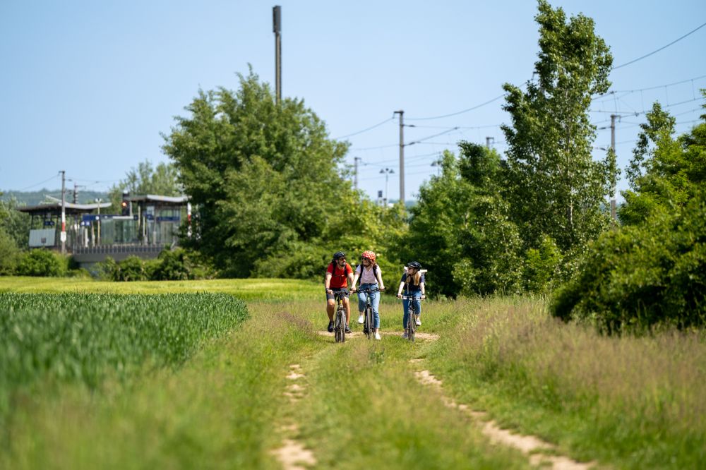 bienenblumenradeln-c-oebb-posch-31.jpg 3 Menschen fahren Rad auf einem Weg in der Wiese